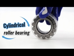 RSL183008 Rodamiento de rodillos cilíndricos de fila única de complemento completo 40x61.74x21 mm