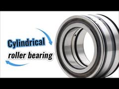 SL045010-D-PP Rodamiento de rodillos cilíndricos SL045010PP de doble hilera y complemento completo