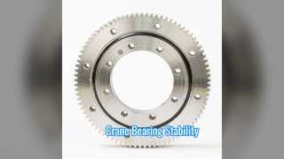 Cojinete giratorio para grúa de servicio pesado XA140753N