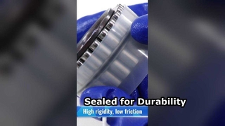 Rodamiento de rodillos cilíndricos de doble hilera CPM2518 sin anillo exterior | Rodamientos industriales y automotrices