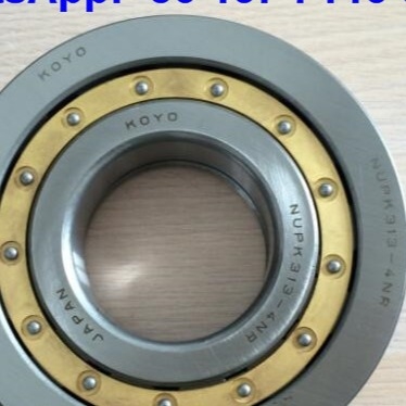 NUP313-4N Rodamientos de rodillos cilíndricos NUPK313-4NRS02C3 Rodamiento de rodillos con anillo de cruce